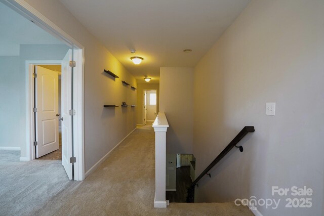 10916 Tower Oak Dr, Charlotte, NC 28269 - photo 22