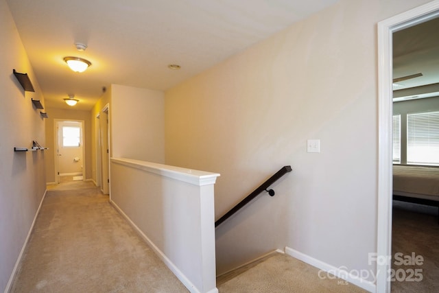 10916 Tower Oak Dr, Charlotte, NC 28269 - photo 23