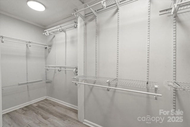6500 Peacehaven Dr, Charlotte, NC 28214 - walk in closet featuring wood finished floors