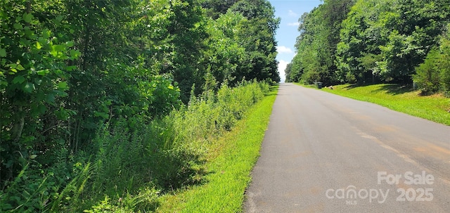 168 Valley Springs Dr, Olin, NC 28660 - photo 2