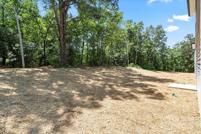 100 Boyette Dr Unit B, Albemarle, NC 28001 - view of local wilderness