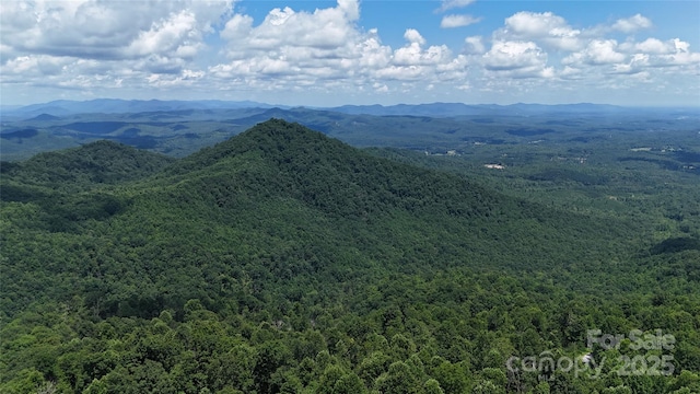 2367 Pinnacle Pkwy, Union Mills, NC 28167 - photo 34