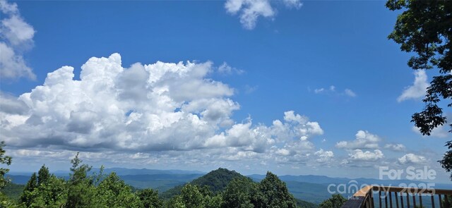 2367 Pinnacle Pkwy, Union Mills, NC 28167 - photo 4