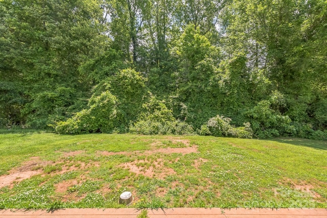949 Capetown Ln, Clover, SC 29710 - photo 4
