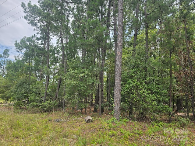 00 Johnny Williams Rd Unit 5, Kershaw, SC 29067 - photo 1