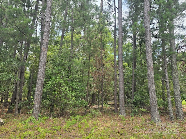 00 Johnny Williams Rd Unit 5, Kershaw, SC 29067 - photo 2