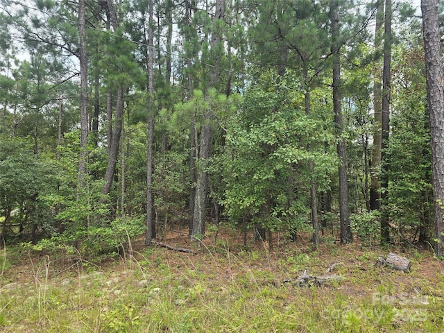 00 Johnny Williams Rd Unit 5, Kershaw, SC 29067 - photo 3