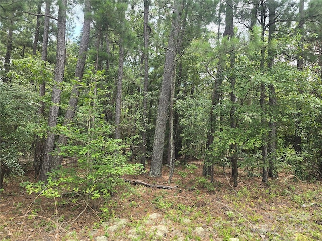 00 Johnny Williams Rd Unit 5, Kershaw, SC 29067 - photo 4
