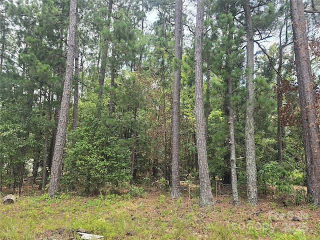 00 Johnny Williams Rd Unit 5, Kershaw, SC 29067 - photo 5