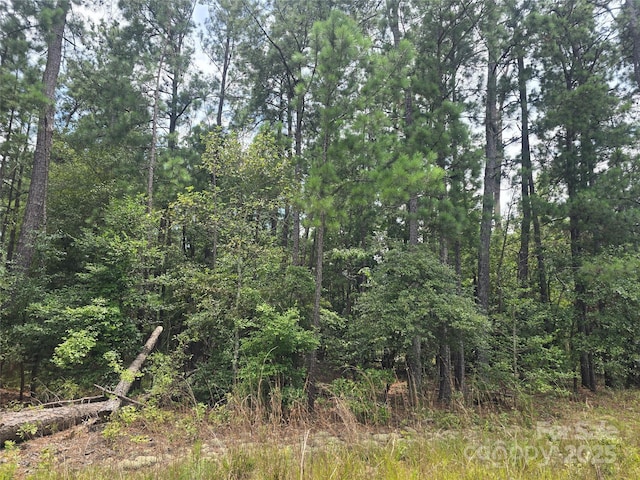 00 Johnny Williams Rd Unit 5, Kershaw, SC 29067 - photo 6