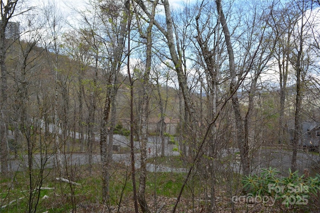 167 Rough Ridge Rd, Sugar Mountain, NC 28604 - photo 37