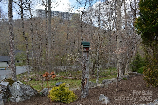 167 Rough Ridge Rd, Sugar Mountain, NC 28604 - photo 38