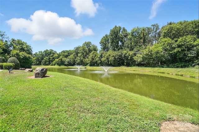 2237 Knocktree Dr, Indian Trail, NC 28079 - photo 34