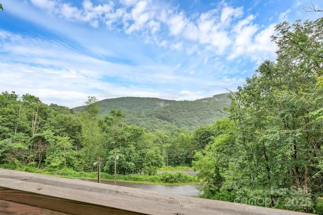 507 Appletree Dr, Newland, NC 28657 - photo 30