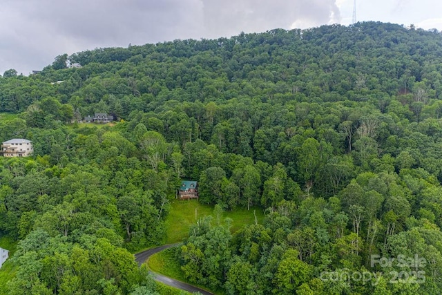 507 Appletree Dr, Newland, NC 28657 - photo 35