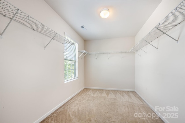 9517 Silverdale Ln, Charlotte, NC 28269 - photo 22