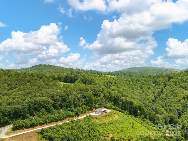 511 Emerald Mine Rd, Spruce Pine, NC 28777 - bird's eye view of a heavily wooded area