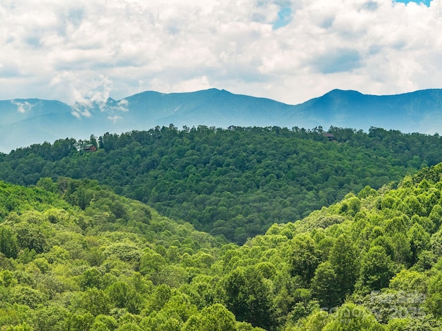 511 Emerald Mine Rd, Spruce Pine, NC 28777 - view of mountain backdrop with a forest