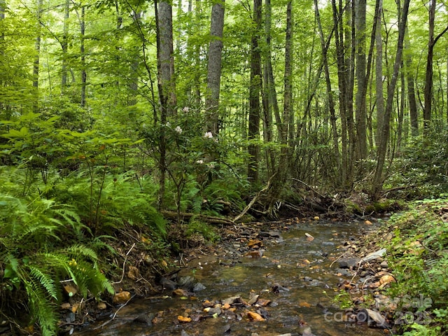 511 Emerald Mine Rd, Spruce Pine, NC 28777 - view of tree filled area