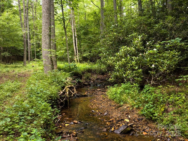 511 Emerald Mine Rd, Spruce Pine, NC 28777 - view of woods
