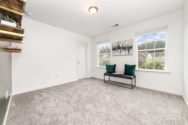 1319 Bridgeford Dr NW, Huntersville, NC 28078 - photo 29