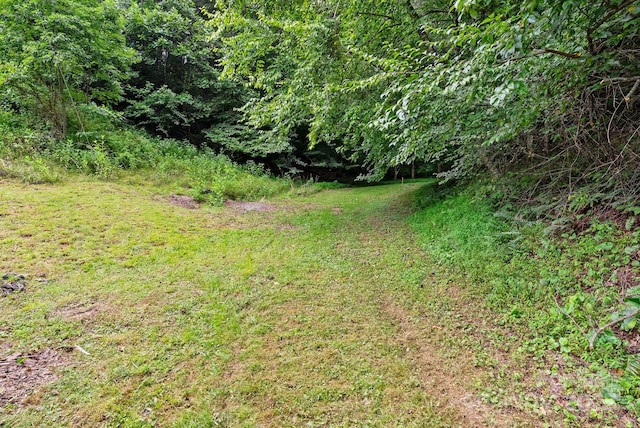 530 Rebel Ridge Rd, Marshall, NC 28753 - photo 26