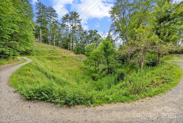 530 Rebel Ridge Rd, Marshall, NC 28753 - photo 29