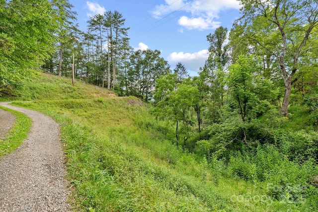 530 Rebel Ridge Rd, Marshall, NC 28753 - photo 30