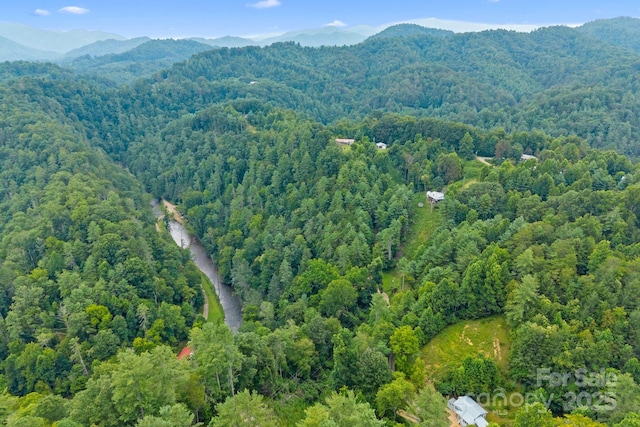 530 Rebel Ridge Rd, Marshall, NC 28753 - photo 34