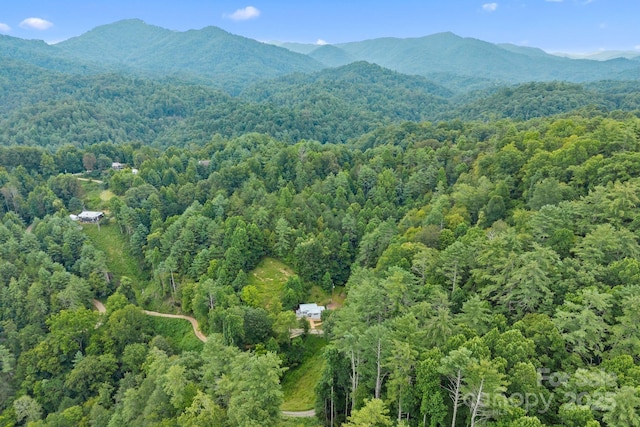 530 Rebel Ridge Rd, Marshall, NC 28753 - photo 35