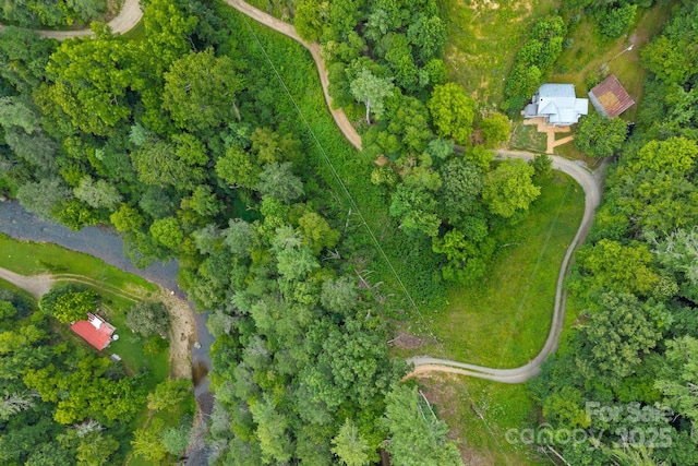 530 Rebel Ridge Rd, Marshall, NC 28753 - photo 36