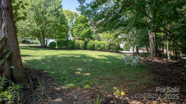 1902 4th Street Ct NW, Hickory, NC 28601 - view of grassy yard