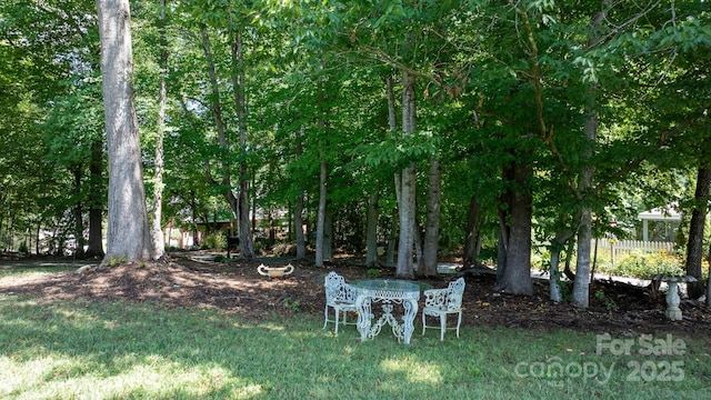 1902 4th Street Ct NW, Hickory, NC 28601 - view of yard