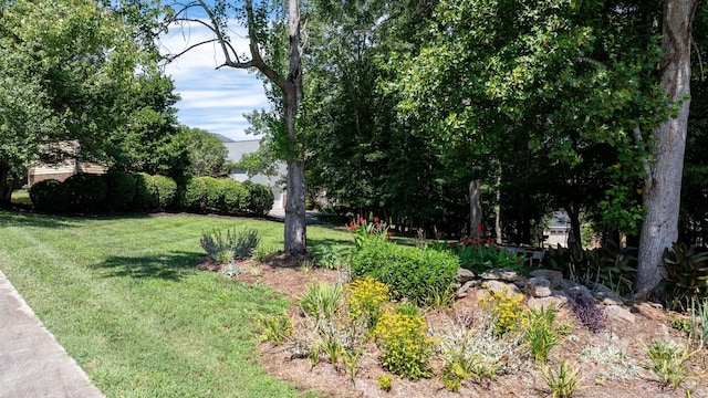 1902 4th Street Ct NW, Hickory, NC 28601 - view of grassy yard