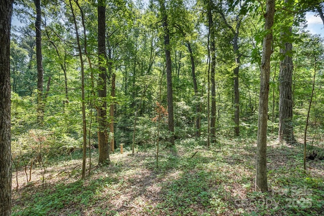1580 Pine Ridge Rd, China Grove, NC 28023 - photo 21