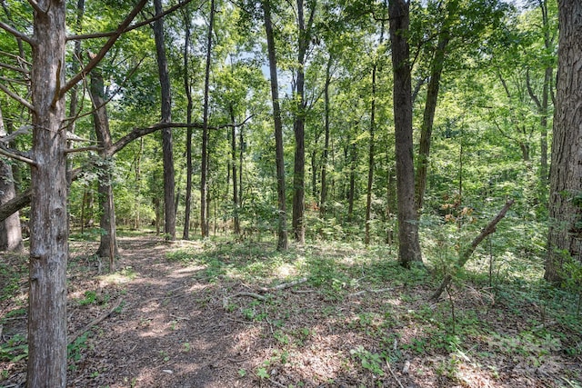 1580 Pine Ridge Rd, China Grove, NC 28023 - photo 22