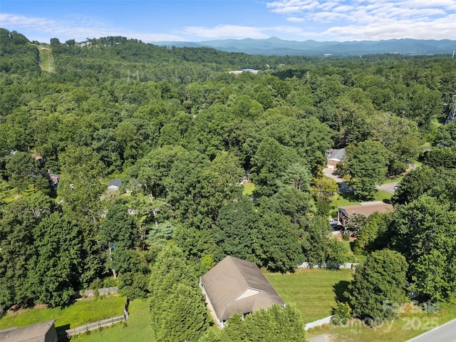 690 Mountain Rd, Hendersonville, NC 28791 - aerial view of property's location featuring a mountainous background