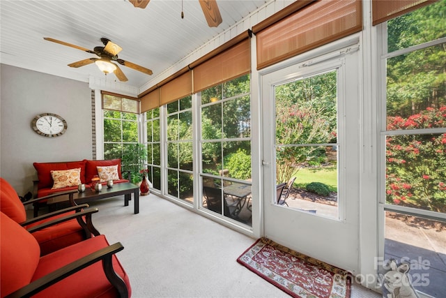 1012 Catawba Shores Dr, Rock Hill, SC 29730 - photo 33