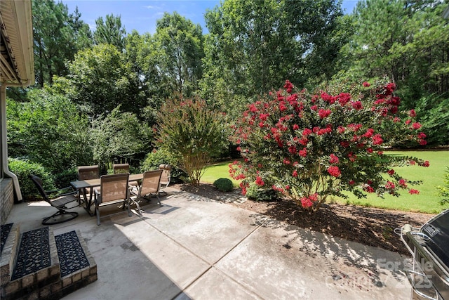 1012 Catawba Shores Dr, Rock Hill, SC 29730 - photo 43