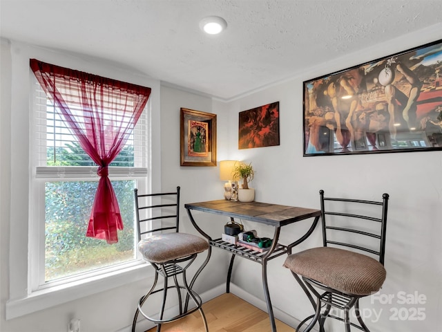 82 Elizabeth St, Canton, NC 28716 - photo 6