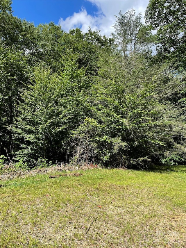 686 Mashstomp Rd, Maggie Valley, NC 28751 - photo 1