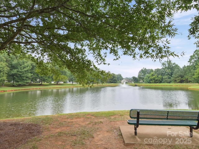 3411 Xandra Ct, Fort Mill, SC 29707 - photo 6