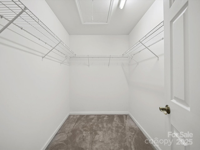 3411 Xandra Ct, Fort Mill, SC 29707 - photo 29