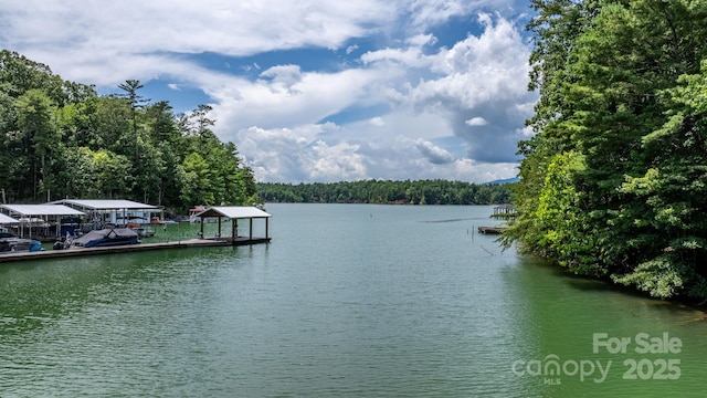 2066 Waterford Way, Morganton, NC 28655 - water view featuring a boat dock and a forest