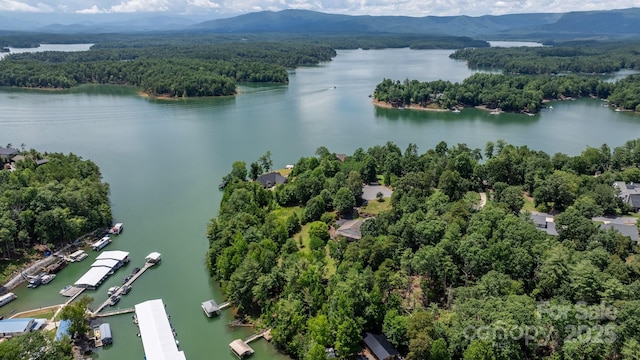 2066 Waterford Way, Morganton, NC 28655 - drone / aerial view of a forest and a water and mountain view