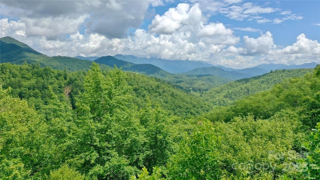 0 Sometimes Creek Rd, Sylva, NC 28779