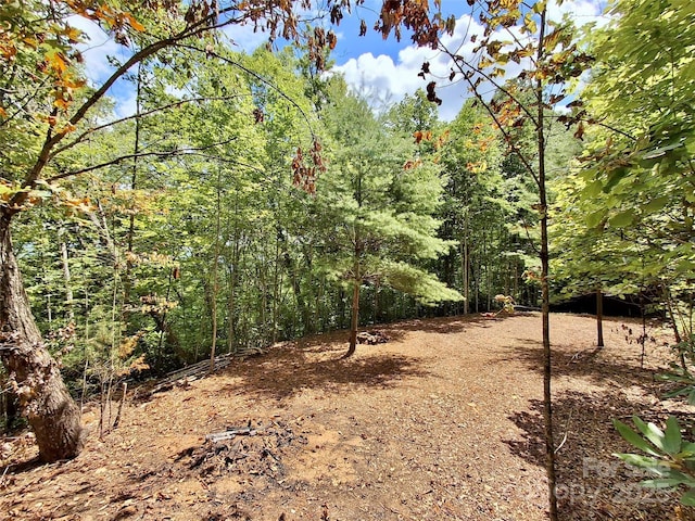 0 Sometimes Creek Rd, Sylva, NC 28779