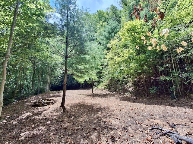 0 Sometimes Creek Rd, Sylva, NC 28779