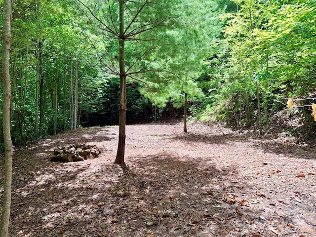 0 Sometimes Creek Rd, Sylva, NC 28779
