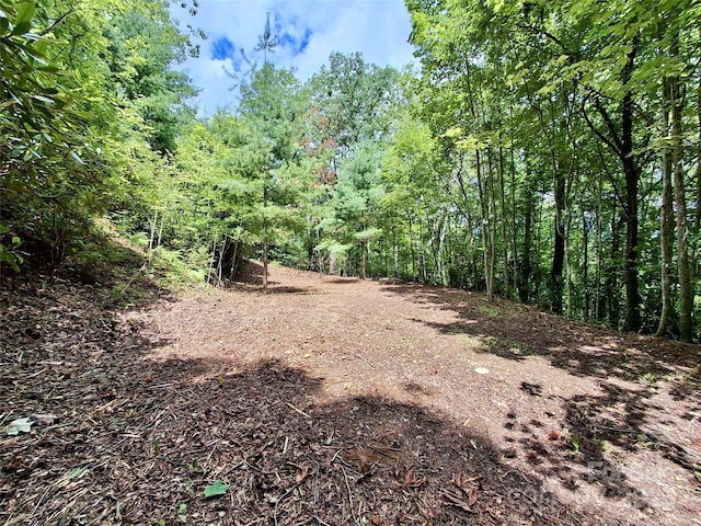 0 Sometimes Creek Rd, Sylva, NC 28779